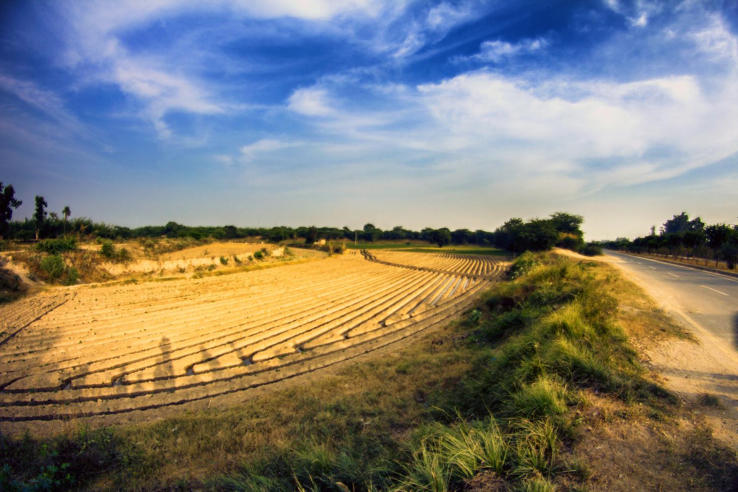 Agriculture land near a road side near Lahore, Punjab, Pakistan © Zulqarnain Photoqraphy